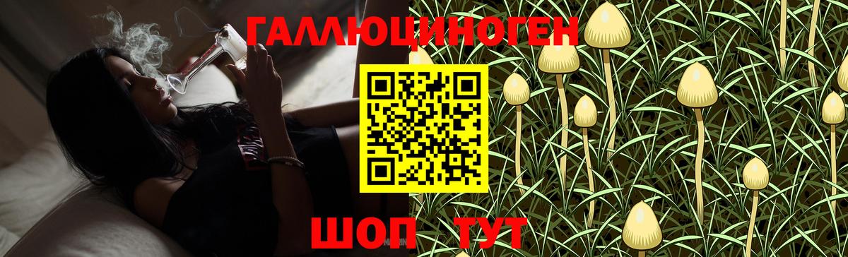 Качканар  Галлюциногенные грибы Psilocybine cubensis  Галлюциногенные грибы мицелий  Вход с VPN 