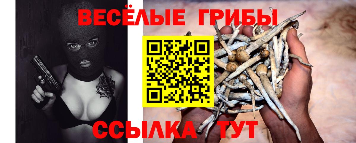 Псилоцибиновые грибы MAGIC MUSHROOMS Качканар